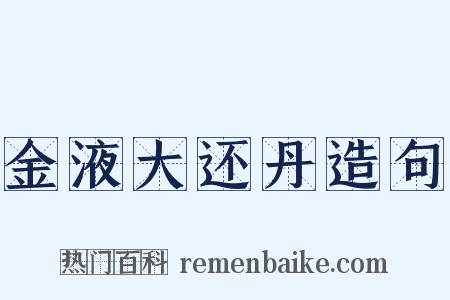 金液大还丹造句是什么意思的图片